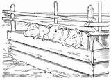 Pig Pen Clipart Coloring Pages Sketch Peanuts Template Clip Clipground Population sketch template