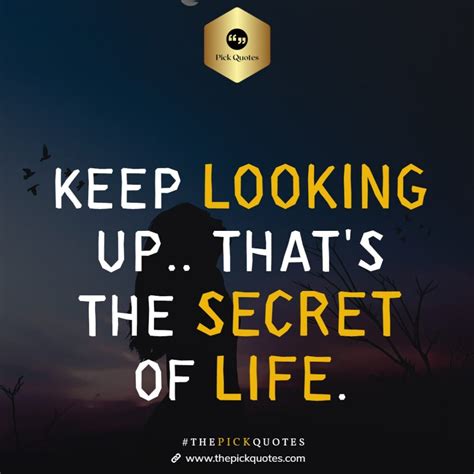 secret  life  positive quotes  life