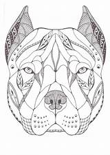 Coloring Pitbull Pages Skull Sugar Dog Tattoos Bull Tribal Tattoo Tatuajes Adult Perros Dibujos Books Colouring Para Tatuaje Book Body sketch template