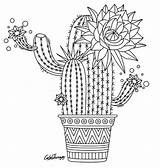 Cactus Coloring Mandala Pages Color Adult Colouring Pattern Flower Printable Cute Colortherapy Therapy Try App Mandalas Zentangles Choose Board Book sketch template
