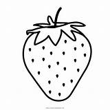 Morango Mewarnai Anak Gambar Strawberry Fresas Erdbeere Dibujos Buah Colorare Disegni Ultracoloringpages Frutas Atividades Paud Fragola Fragole Erdbeeren Contoh Kolase sketch template