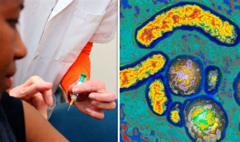 Hepatitis B Virus Four In Five Infected Britons Dont Know They Have