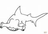 Shark Coloring Hammerhead Pages Printable Fish Pilot Fishes Supercoloring Categories sketch template