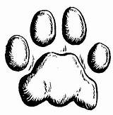 Pegada Leoa Dog Lions Tracks Claws Getdrawings sketch template