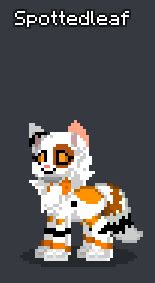warrior cats   rponytown