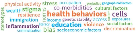 health disparities framework