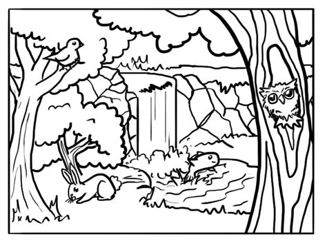 forest coloring pages  coloring pages  kids