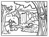 Forest Coloring Pages Animals Background Drawing Sheets Kids Printable Forests Animal Colour Sheet Nature Tree Book Backgrounds sketch template