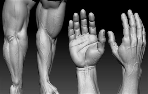 high poly hand sculpt  slocik  deviantart