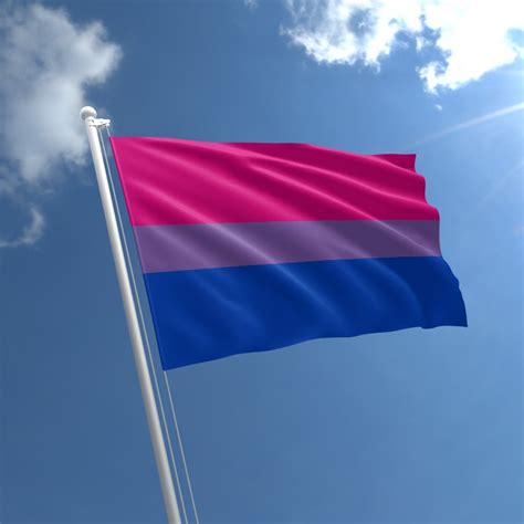 Prideoutlet Flags Bisexual 3 X 5 Polyester Flag W Metal
