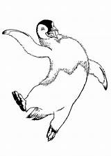 Penguin Mumble Jumping sketch template