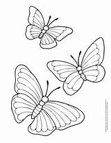 Coloring Butterfly Butterflies Pages Printable Cute Realistic Easy Fluttering Easypeasyandfun Bee Drawing Kids Adult Flower Grab Choose Board sketch template