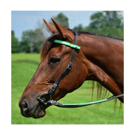 buy western bridle   reflective day glo   affordable prices  horse tack