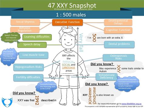 47 Xxy Syndrome Symptoms – Klinefelters Syndrome Diagnosis – Qfb66