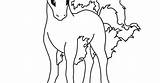 Ponyta Getdrawings Colorings sketch template
