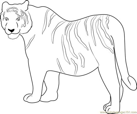 siberian tiger coloring page  kids  tiger printable coloring