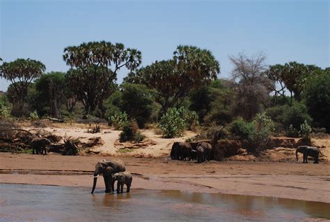 samburu national park wonisafaris