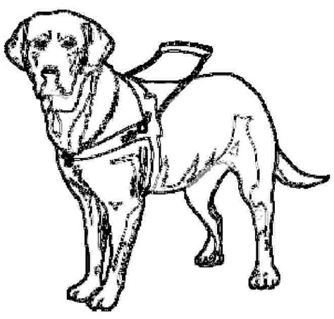 guide dog coloring pages  daniel dog coloring page guide dog