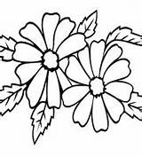 Coloring Marigold Pages Ones Little Indiaparenting sketch template