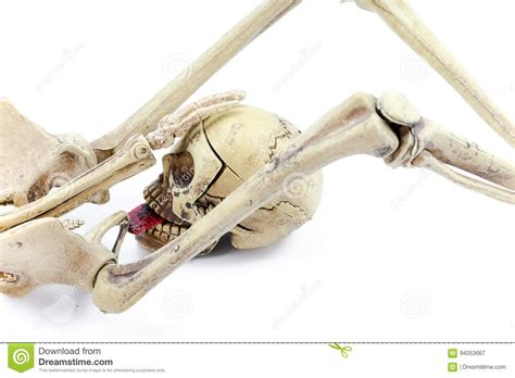 Halloween Sex Skeletons Model On White Background Stock Image Image