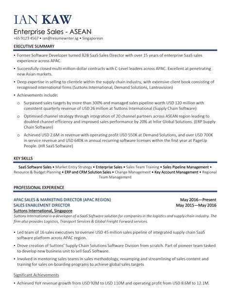 professional resume template  picture