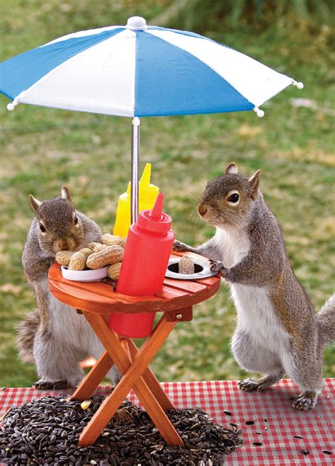 Squirrel Feeder Lunchtime Jigsaw Puzzle