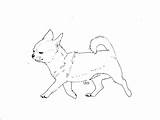 Coloring Chihuahua Pages Line Pinscher Chiwawa Drawing Dog Printable Pinchers Kids Colorings Getdrawings Sorry Print Getcolorings Template Clipart Comments Miniature sketch template