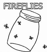 Firefly Coloring Fireflies Color Kids Google Aim Extra Going sketch template