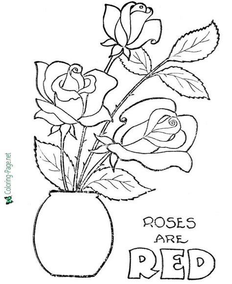 roses  red valentines day coloring pages