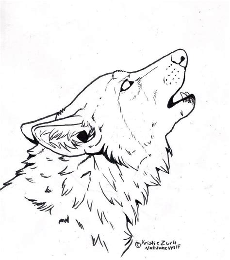 color  howling wolf  art  natsumewolf  deviantart