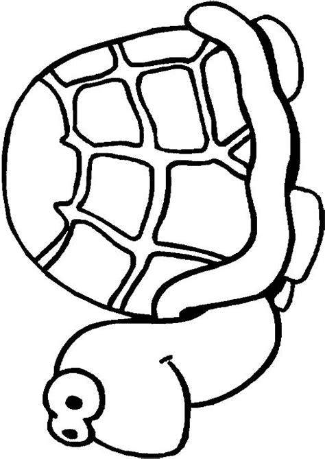 tortoise coloring pages coloringpagescom