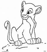 Coloring Simba Pages Print sketch template