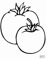 Coloring Tomato Pages Drawing Tomatos Plant Tomatoes Two Printable Getdrawings Categories sketch template