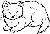 Ausdrucken Ausmalen Katze Kostenlos Katzen Ausmalbild Schlafende sketch template