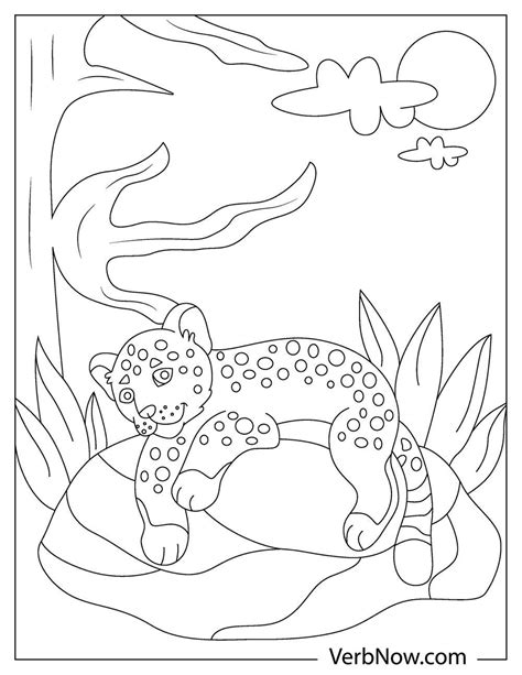 jaguar coloring pages book   printable  verbnow
