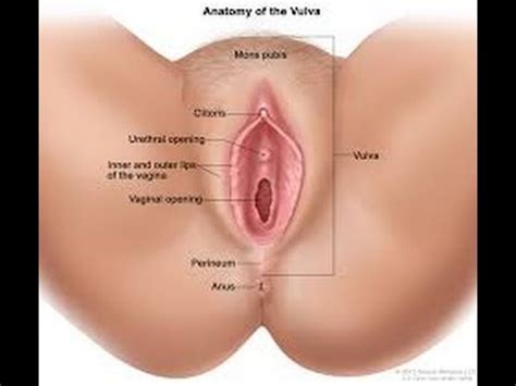 Free video group masturbation