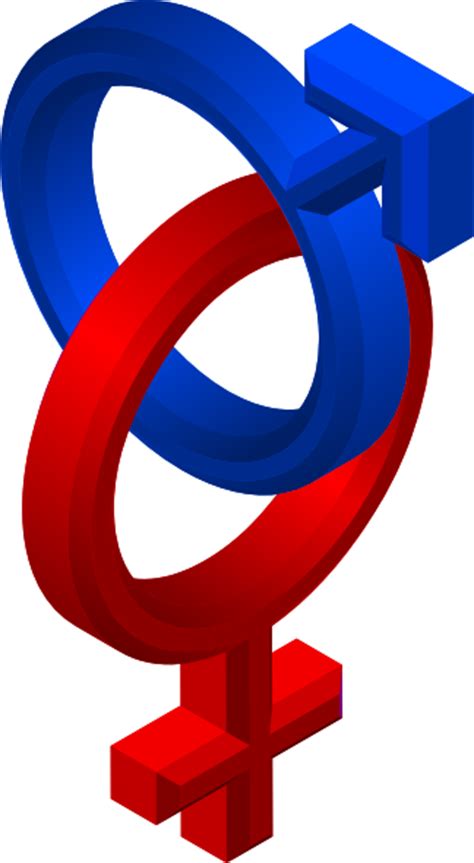 male female symbols clip art at vector clip art online