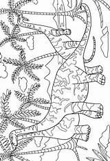 Dino Dover Publications Doverpublications Dinosaurios Dinossauros Welcome Uleso sketch template