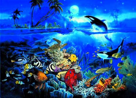 underwater ocean wallpaper wallpapersafaricom