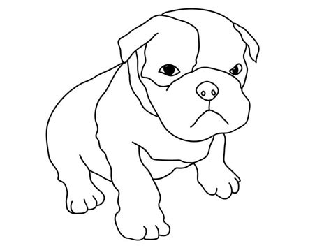 cute pitbull puppy coloring page coloring sky