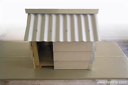 building  dog kennel habitat issue