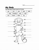 Coloring Body Parts Pages sketch template