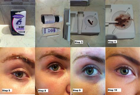 beauty ful   eyebrow maintenance