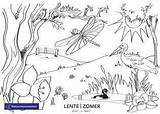 Natuur Lente Zomer Natuurmonumenten Kleurplaten Downloaden Omnilabo sketch template