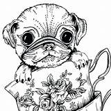 Pug Realistic Getdrawings Doug Adultes Teacup Bestcoloringpagesforkids Moins Chiens Reduction Coloriages Getcolorings Colorings sketch template