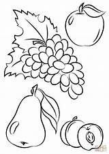 Fruit Coloring Pages Vegetables Fruits sketch template