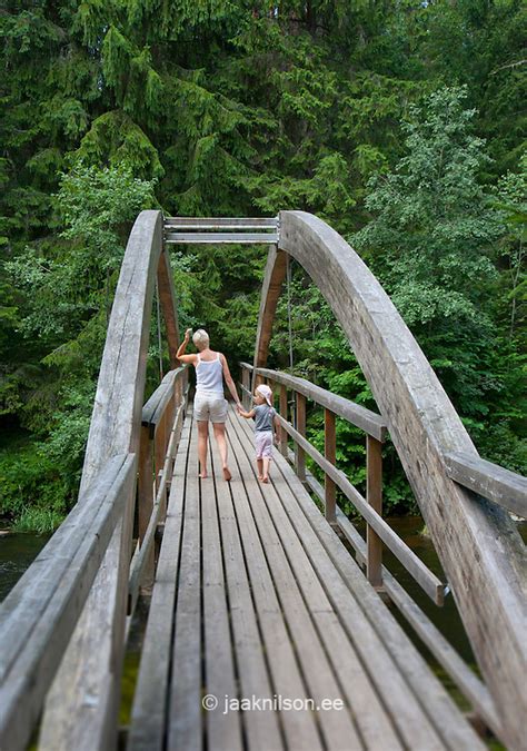 wooden bridge  ahja river polva county estonia europe jaak nilson photostock