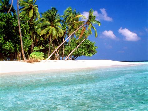 world visits tropical island beach wallpaper   atrjones tropical island