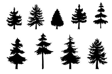 vector pine tree silhouette illustrations  pine tree