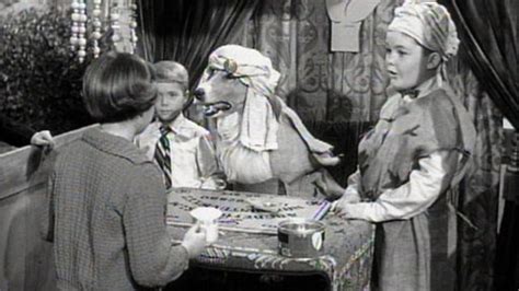 watch lassie 1954 online full episodes of season 5 to 1 yidio